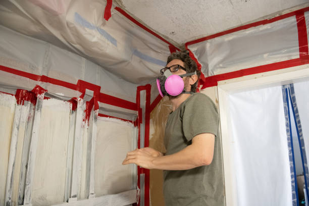 Mold Odor Removal Services in Emerson, GA